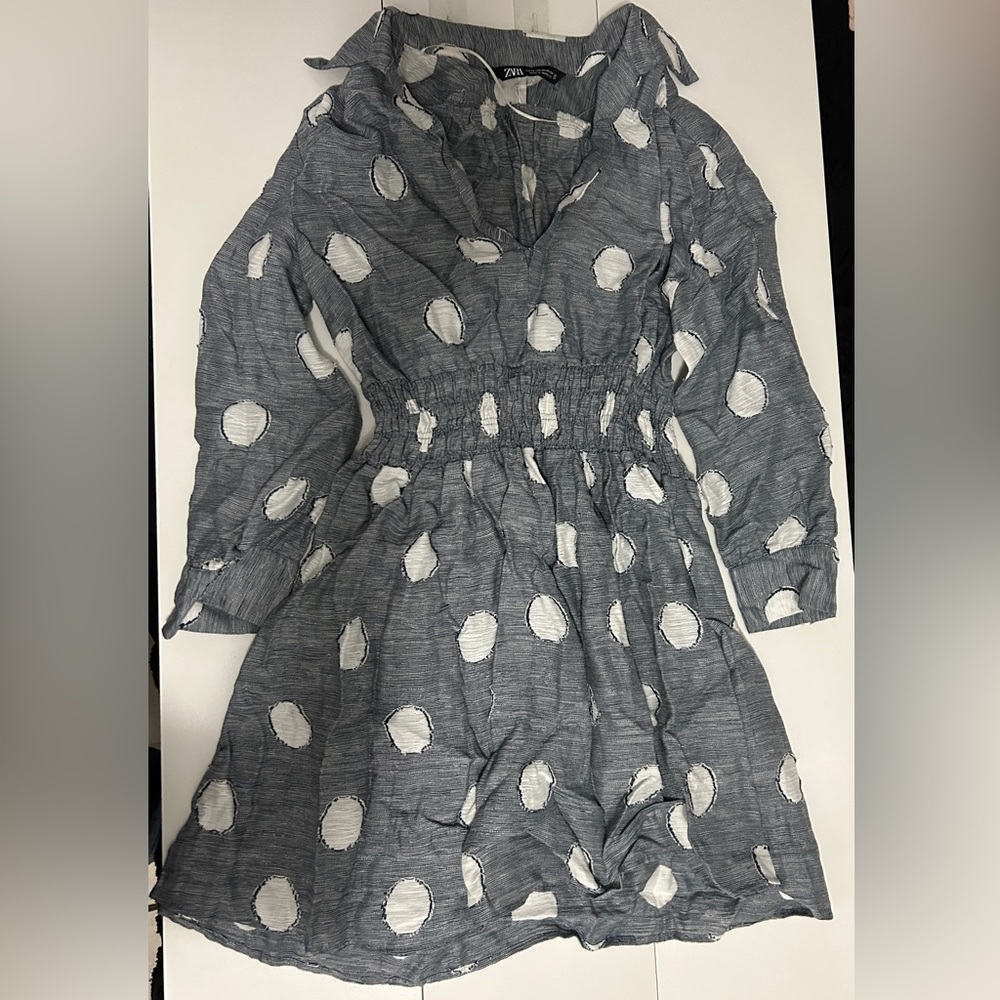 Zara Polka dot dress